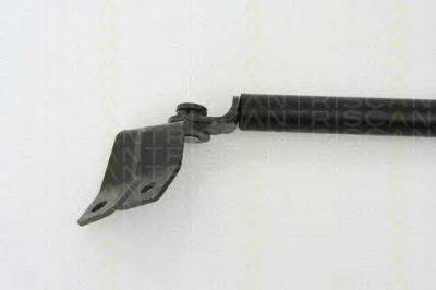 TRISCAN 871069214 -  Газовая пружина, крышка багажник