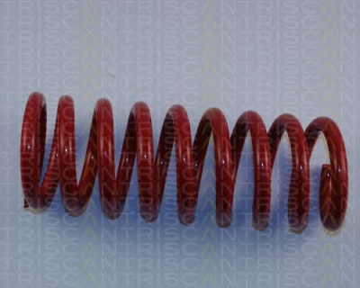 TRISCAN 875523002 -  Комплект ходовой части, пружины