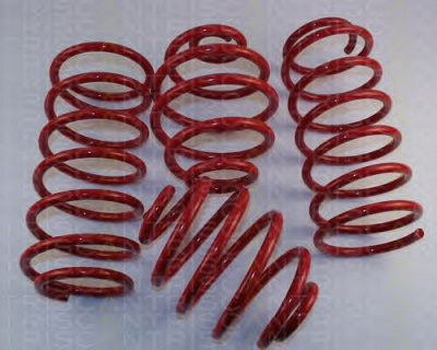 TRISCAN 875524006 -