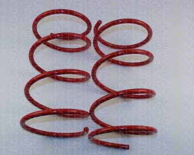 TRISCAN 875528004 -  