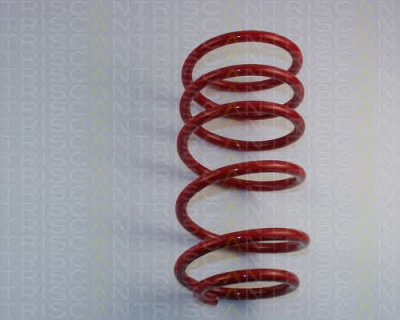 TRISCAN 875529002 -  Комплект ходовой части, пружины