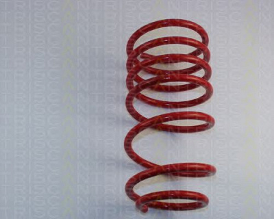 TRISCAN 875529008 -  Комплект ходовой части, пружины