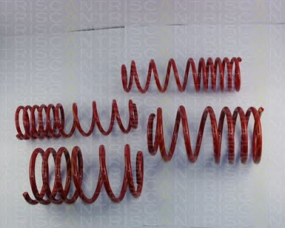 TRISCAN 875566001 -  Комплект ходовой части, пружины