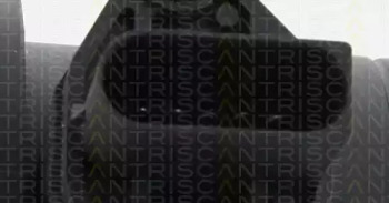 TRISCAN 881211006 -  Расходомер воздуха