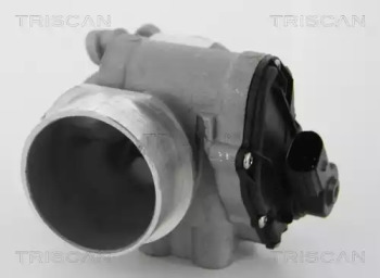 TRISCAN 881310012 -  Клапан возврата ОГ