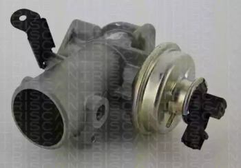 TRISCAN 881316200 -  Клапан возврата ОГ