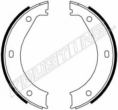 TRUSTING 019023 -  Комплект тормозных колодок, стояночная тормозная система
