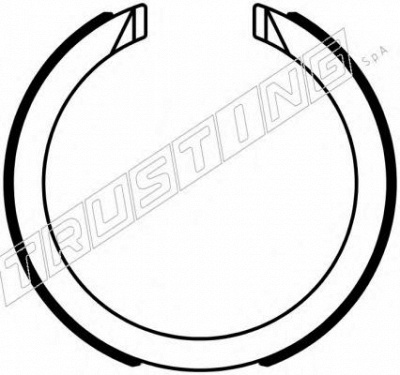 TRUSTING 040163 -  Комплект тормозных колодок, стояночная тормозная система