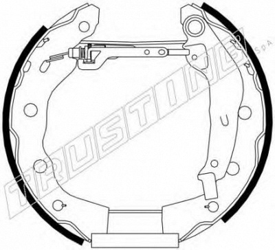 TRUSTING 6252 -  Комплект тормозных колодок