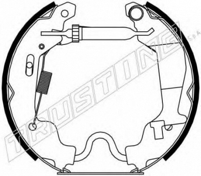TRUSTING 6256 -  Комплект тормозных колодок