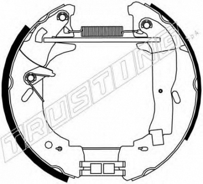 TRUSTING 6419 -  Комплект тормозных колодок