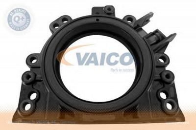 VAICO v103261 -  Уплотняющее кольцо, коленчатый вал