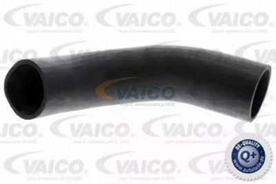 VAICO v103779 -  Трубка нагнетаемого воздуха