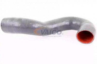 VAICO v103784 -  Трубка нагнетаемого воздуха
