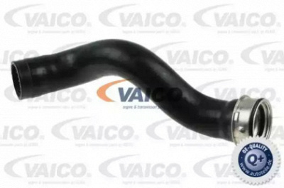 VAICO v104391 -  Трубка нагнетаемого воздуха