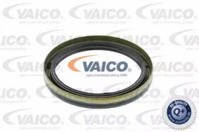 VAICO v200021 -  Уплотняющее кольцо, коленчатый вал