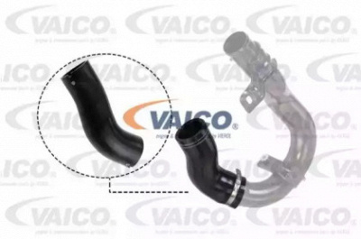 VAICO v240708 -  Трубка нагнетаемого воздуха