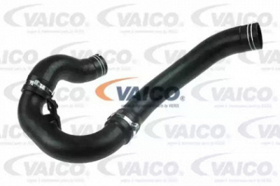 VAICO v240712 -  Трубка нагнетаемого воздуха