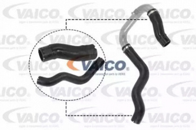 VAICO v240731 -  Трубка нагнетаемого воздуха