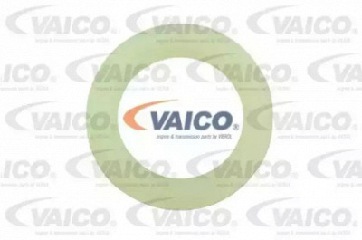 VAICO v250810 -  Уплотнительное кольцо, резьбовая пробка маслосливн. отверст.
