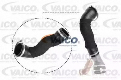 VAICO v251033 -  Трубка нагнетаемого воздуха