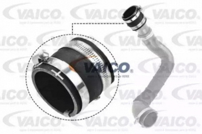VAICO v251048 -  Трубка нагнетаемого воздуха