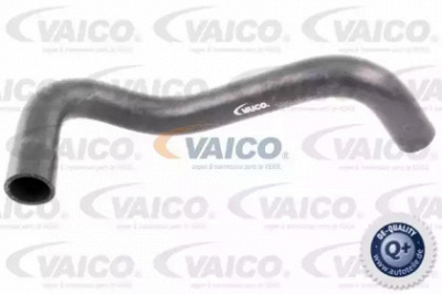 VAICO v300250 -  Шланг радиатора