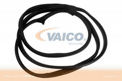 VAICO v301559 -  Уплотнение двери