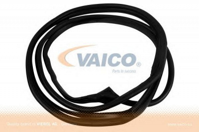VAICO v301562 -  Уплотнение двери