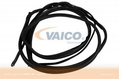 VAICO v301630 -  Уплотнение двери