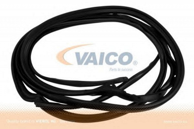 VAICO v301631 -  Уплотнение двери