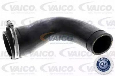 VAICO v303151 -  Трубка нагнетаемого воздуха