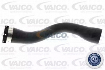 VAICO v401444 -  Трубка нагнетаемого воздуха