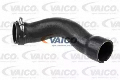 VAICO v401491 -  Трубка нагнетаемого воздуха