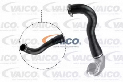 VAICO v401496 -  Трубка нагнетаемого воздуха