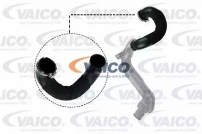 VAICO v401504 -  Трубка нагнетаемого воздуха