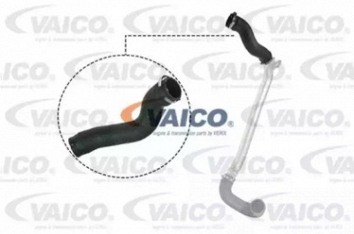 VAICO v401513 -  Трубка нагнетаемого воздуха