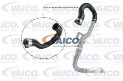 VAICO v401516 -  Трубка нагнетаемого воздуха