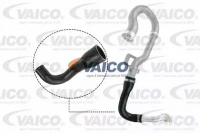 VAICO v401517 -  Трубка нагнетаемого воздуха