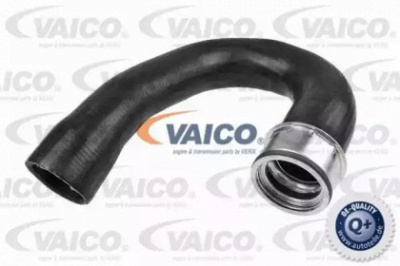 VAICO v401523 -  Трубка нагнетаемого воздуха