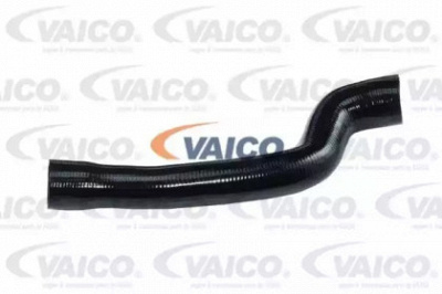 VAICO v401525 -  Трубка нагнетаемого воздуха