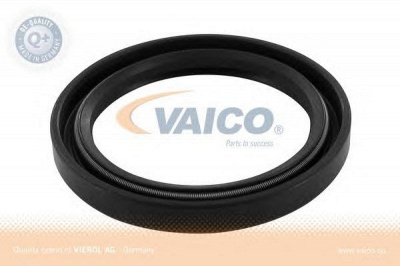 VAICO v401799 -  Уплотняющее кольцо, коленчатый вал