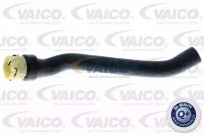 VAICO v402006 -  Шланг радиатора