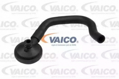 VAICO v460821 -  Трубка нагнетаемого воздуха