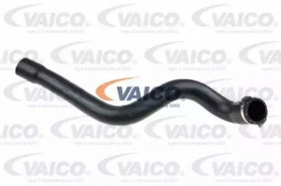VAICO v460826 -  Трубка нагнетаемого воздуха