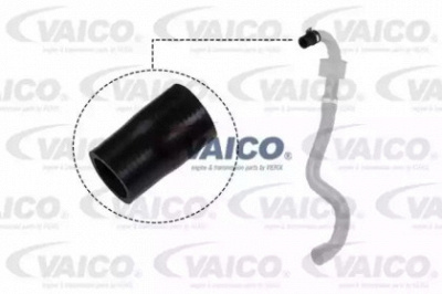 VAICO v460827 -  Трубка нагнетаемого воздуха