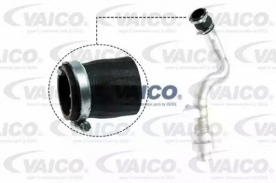 VAICO v480192 -  Трубка нагнетаемого воздуха