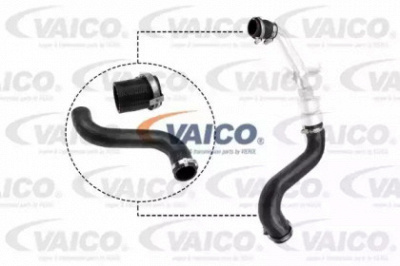 VAICO v480197 - Трубка нагнетаемого воздуха