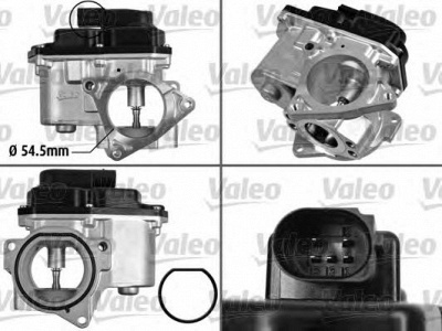 VALEO 700424 -  Клапан возврата ОГ