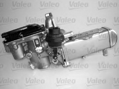 VALEO 700436 -  Клапан возврата ОГ